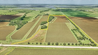 TBD Farm To Market 1462 Rd, Damon, TX 77430