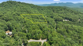 LOT 1 High Knee Rd, Cherry Log, GA 30522