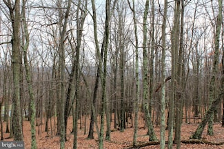Lot 39 Berenger Dr, Petersburg, WV 26847