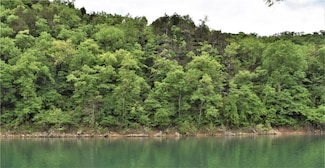 1217 Cr 231, Eureka Springs, AR 72631