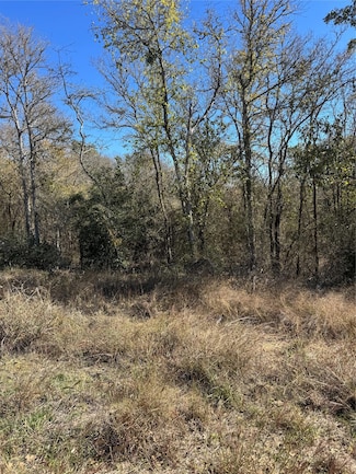 Lot 1013 Diamond Head Dr, Bastrop, TX 78602
