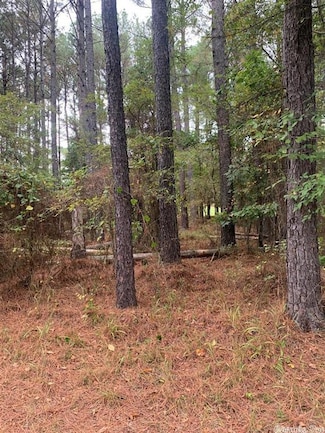 10 Poema Ln, Hot Springs Village, AR 71909