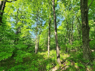 0 Marsh Rd, Erin, NY 14838