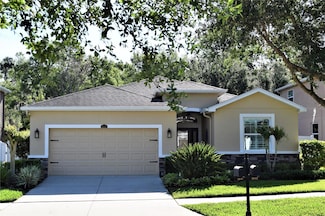 3041 Calvano Dr, Land O' Lakes, FL 34639