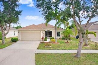 13411 Graham Yarden Dr, Riverview, FL 33579