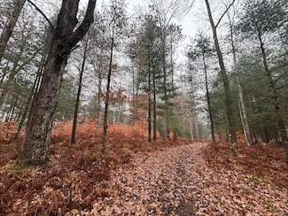 6270 Woods Trail, Custer, MI 49405