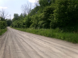 0 Gridleyville Rd, Spencer, NY 14883