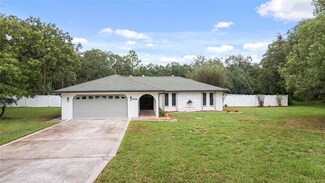 15211 Camrose Ave, Spring Hill, FL 34610