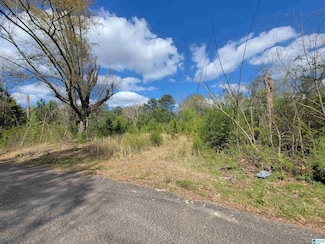 3 +/- Acres Highway 431 Unit 3, Roanoke, AL 36274
