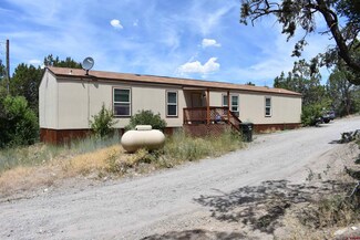 318 Winding Trail, Ridgway, CO 81432