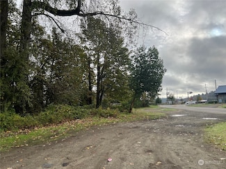 102 Park St, Shelton, WA 98584