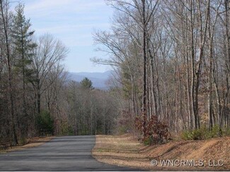 298 Promised Ridge Dr Unit 9, Hendersonville, NC 28791