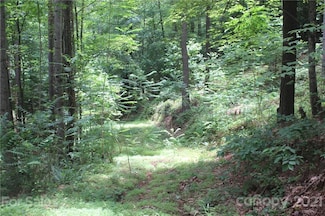 2202 Island View Ln NE Unit 5, Connelly Springs, NC 28612