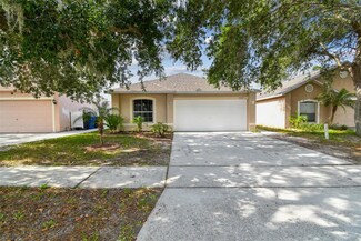 11627 Ivy Flower Loop, Riverview, FL 33578