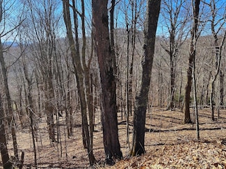 692 Oak Ridge Ln Unit 61-Lot-A, Mars Hill, NC 28754