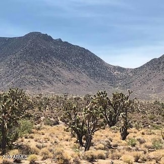 XXXX N Mountain Ave Unit 8, Wikieup, AZ 85360