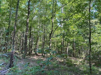 1 Treece Ln, Adamsville, TN 38310