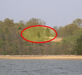 Lot 383 Thief Neck View, Rockwood, TN 37854