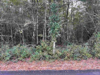 Lot 9 Horace Lunsford Rd, Milton, FL 32570