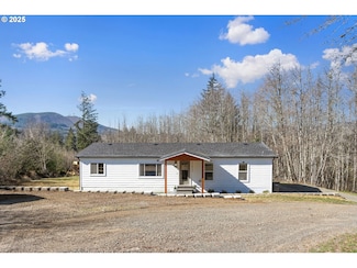 41911 NE Munch Rd, Amboy, WA 98601