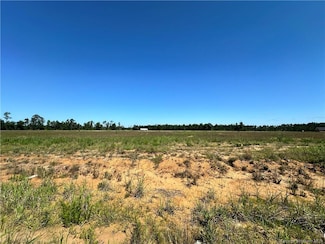 0 Daffodil Dr Unit SWL24002561, Ragley, LA