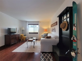 214 S Harris St Unit 101, Breckenridge, CO 80424