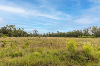 TBD State Highway 64, Ben Wheeler, TX 75754