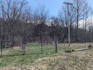 V/L Butwell 1 Rd, Bear Lake, MI 49614