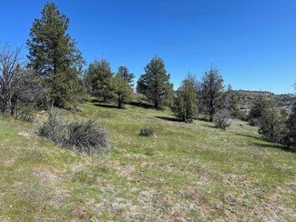 Unit 5 Lot 132 Willit Way Unit 5, Montague, CA 96064