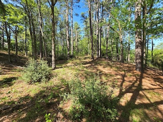 2723 Timberline Trail, Palestine, TX 75803