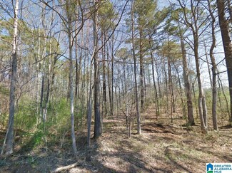 00 Granny Hyche Rd, Cordova, AL 35550