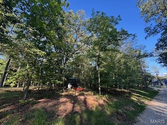 180 Steeple Point Dr Lot #7 Dr, Defiance, MO 63341