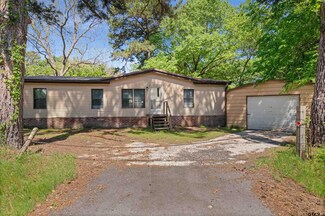 20414 Hillside Dr, Chandler, TX 75758