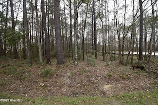 916 Bee Tree Ct, Fairfield Harbour, NC 28560