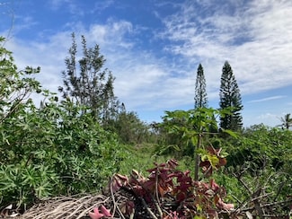0 Kaulua Cir Unit 725934, Naalehu, HI 96772