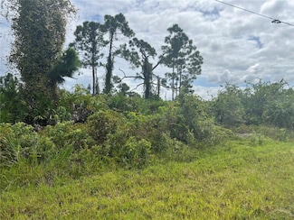 8178 Dimstead St, South Gulf Cove, FL 33981