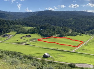 10 Elk Watck Ln Unit 10, Freedom, WY 83120