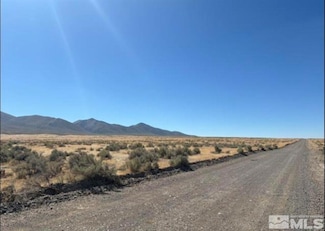 07067112 Buffalo Valley Rd, Valmy, NV 89438