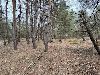 6526 Cedar Trace, Morton Township, MI 49346