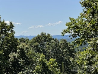 133 Steeple Chase Trail, McGrady, NC 28649