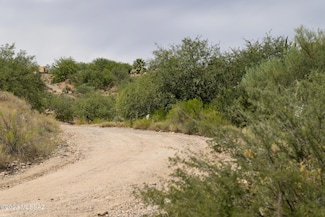 16321 N Lago Del Oro Pkwy, Tucson, AZ 85739