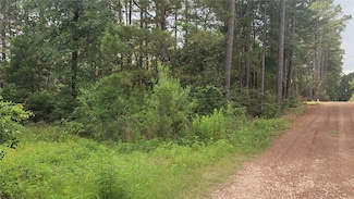 Lot 4 Smokethorn, Plantersville, TX 77363