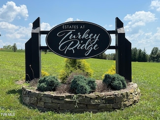 Lot 2 Turkey Ridge Ln, Piney Flats, TN 37686