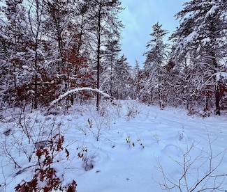 11335 S Broadway St, Bitely, MI 49309