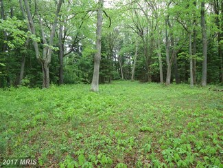 0 Hazelhurst Rd Unit 1002621130, Swanton, MD 21561