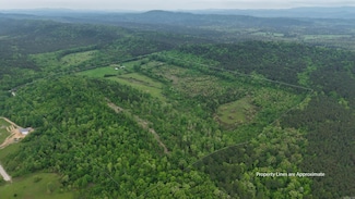 Tract 10-TBD Ryan Rd, Oden, AR 71961
