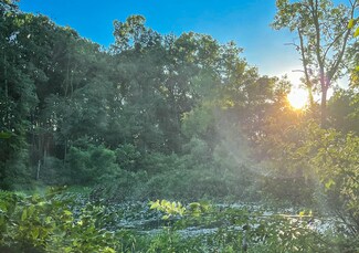 0 Coon Hollow Rd, Three Rivers, MI 49093