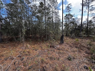 0 SE 133rd Ave Unit MFRTB8350744, Dunnellon, FL 34431