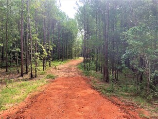 1150 Middle Rd, Eclectic, AL 36024