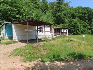 424 E Fork 12 Pole Creek Rd, Harts, WV 25524